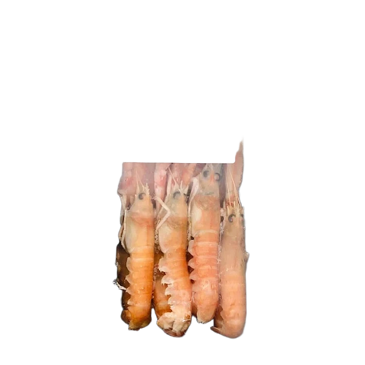 Sjøkreps 8/12 750g Frys