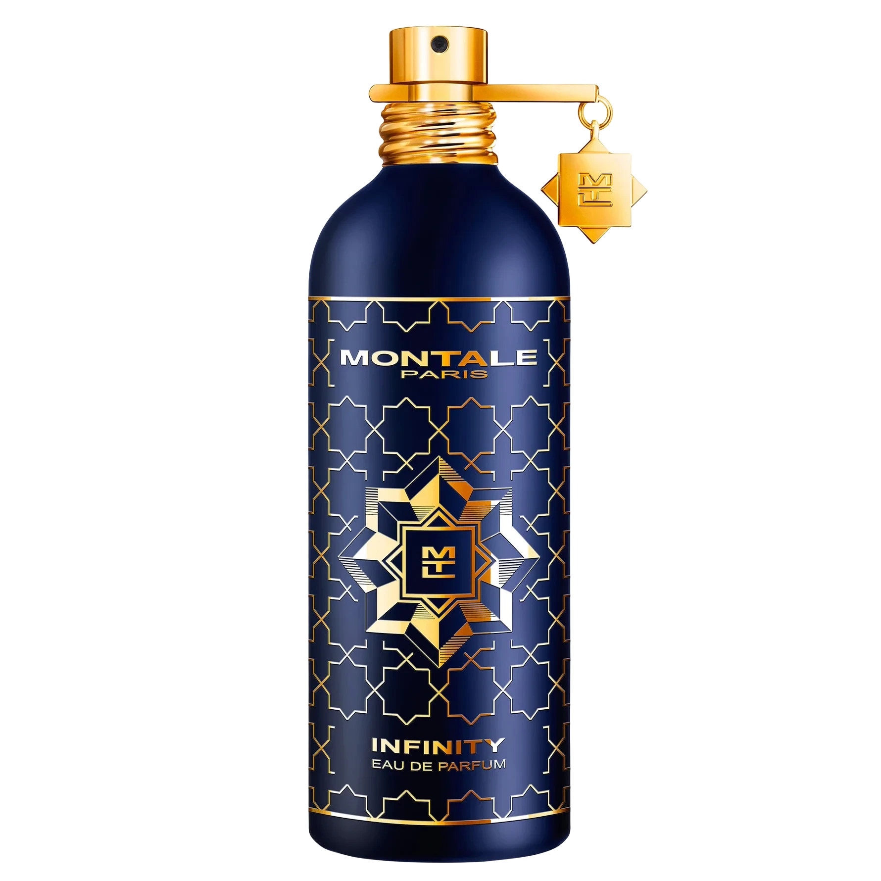 Montale Infinity Eau de Parfum 100 ml