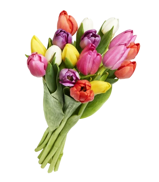 Miksbukett Tulipan 17pk