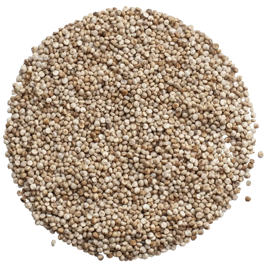 Quinoa Vikinga, helt frö KRAV