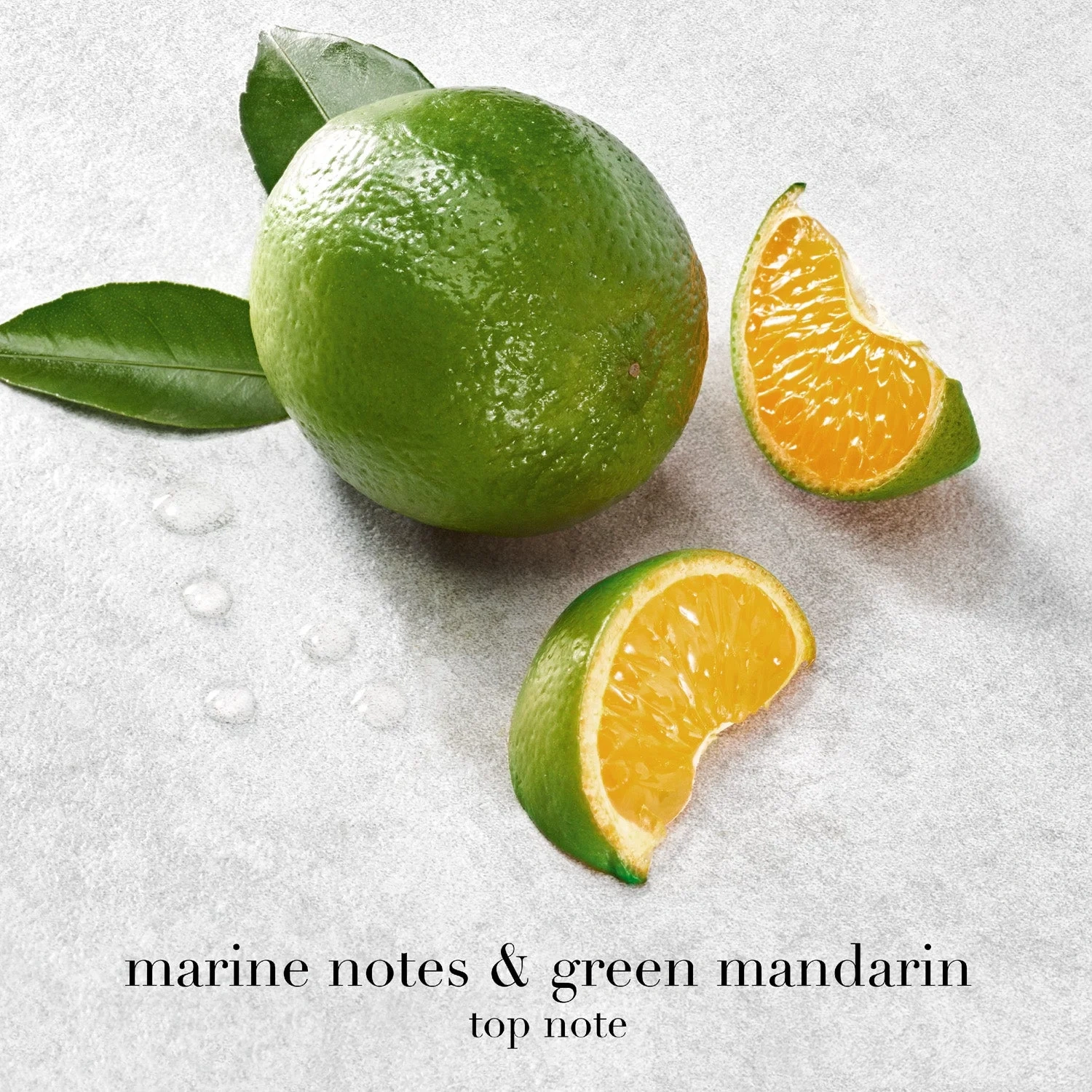 Armani Acqua di Giò