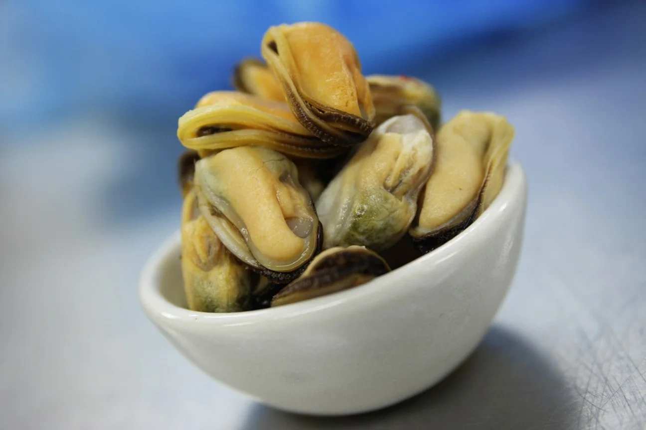 Musslor i lake MSC