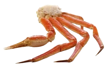 Snow crab (sektioner)