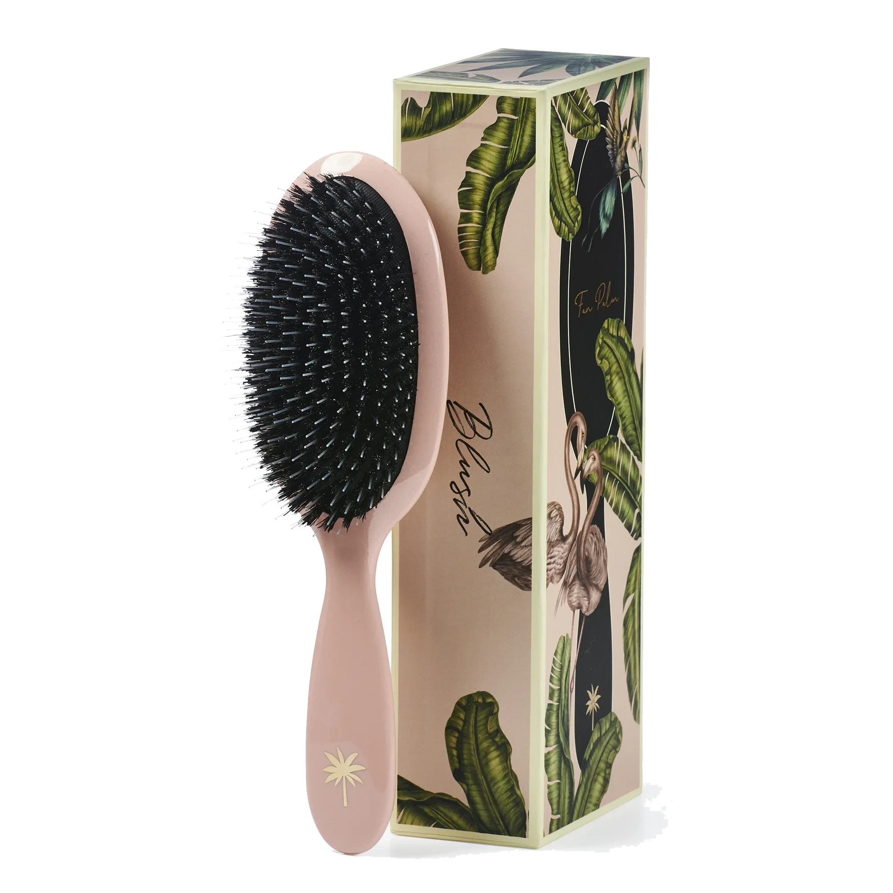 Fan Palm Boar- & Nylon Brush Blush Medium
