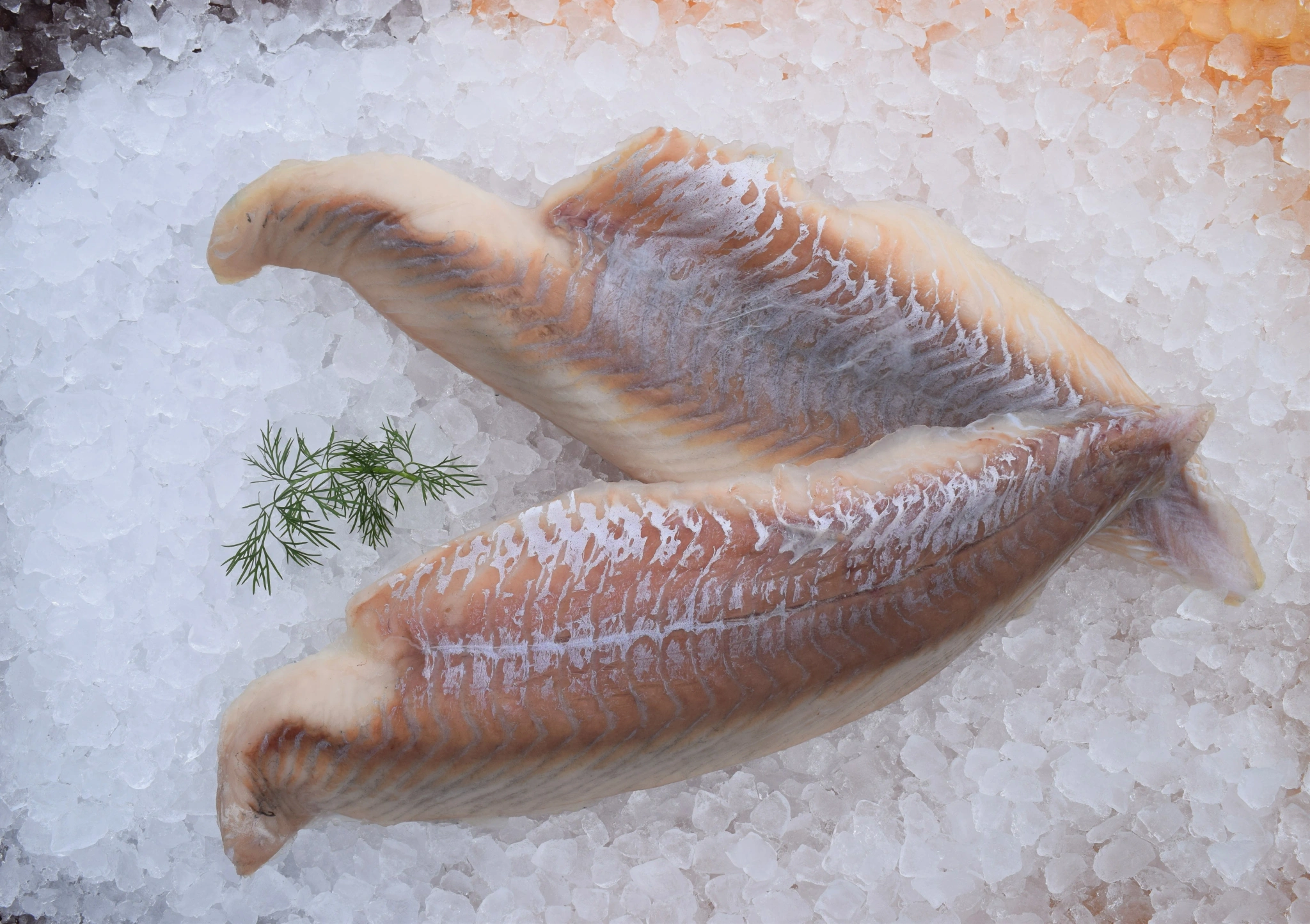 Sejfilé sjöfryst 250-500 gr MSC