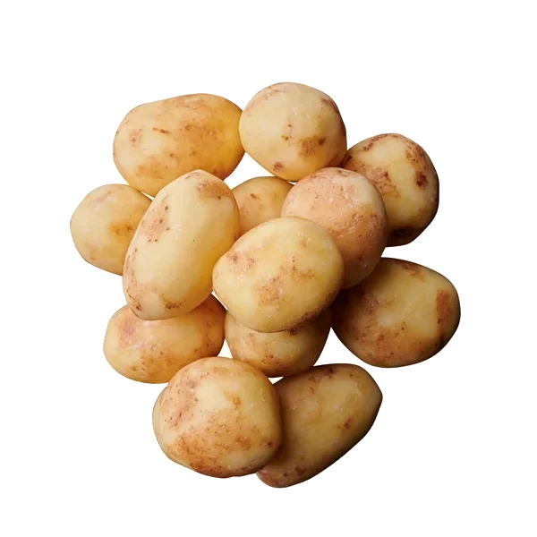 Färskpotatis lättskalad 38-42 SE