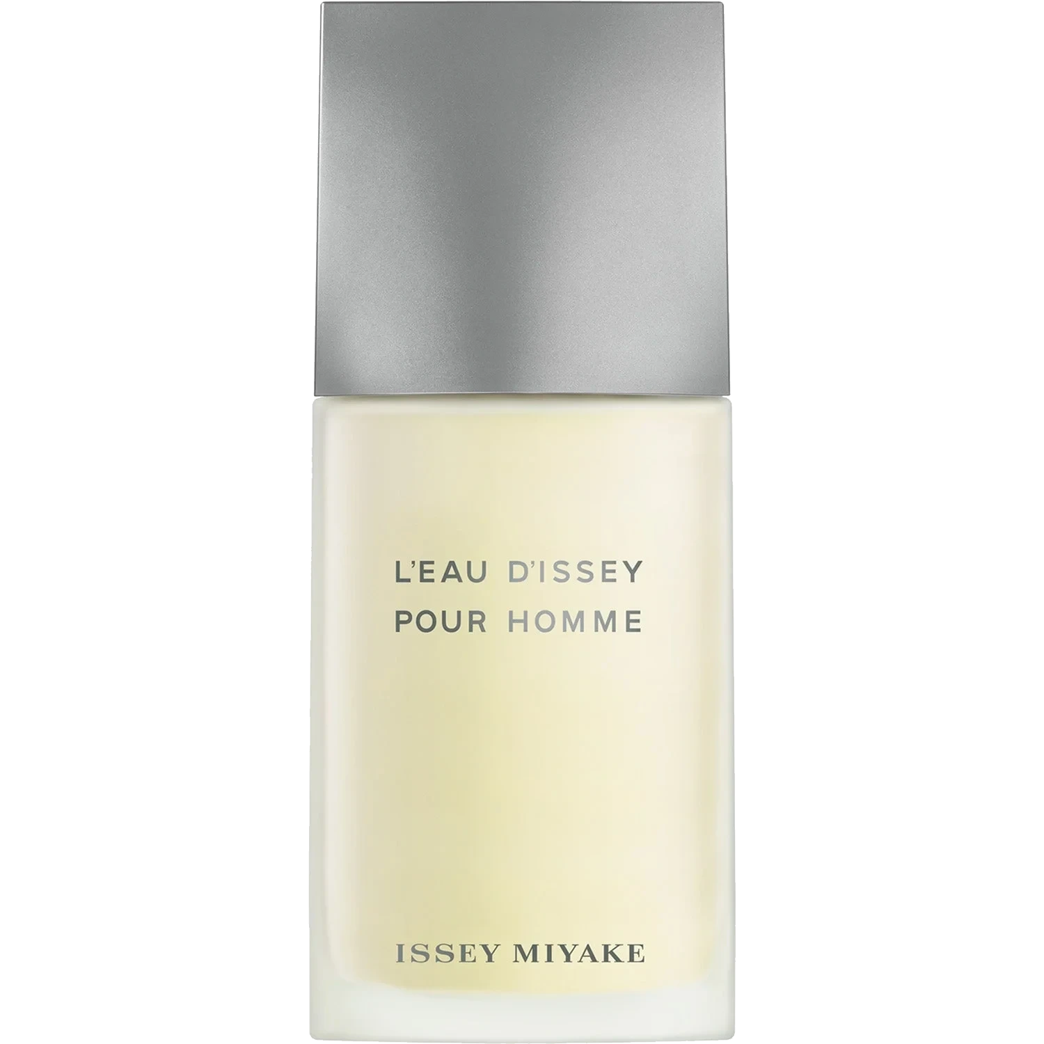 Issey Miyake L'Eau D'Issey Pour Homme Eau de Toilette 75 ml