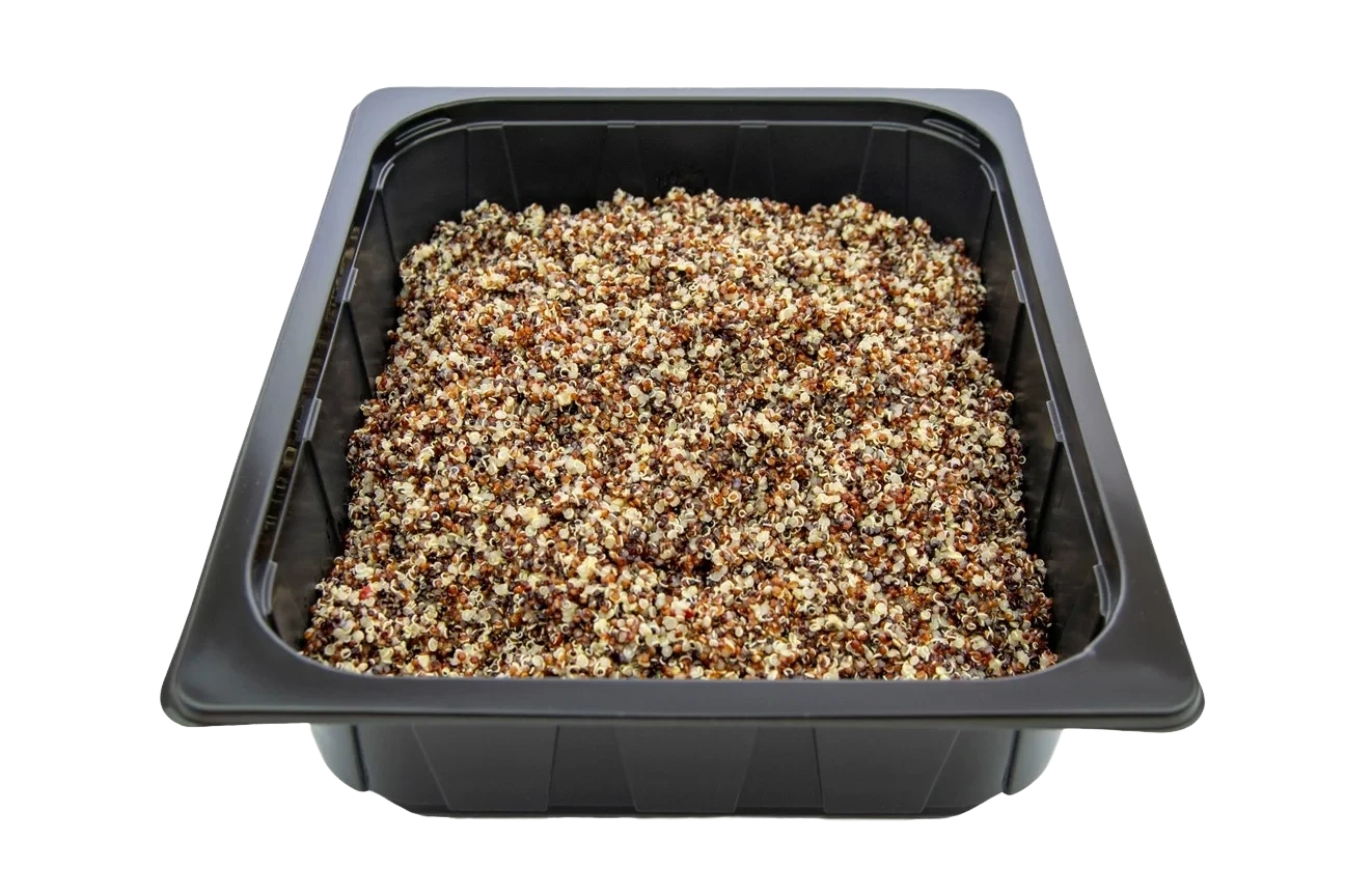 Bröderna Franzén Quinoa tricolore