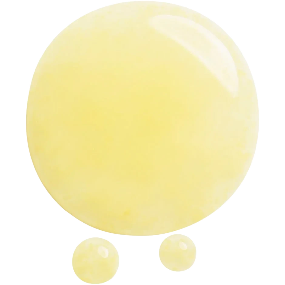 Shiseido Benefiance
