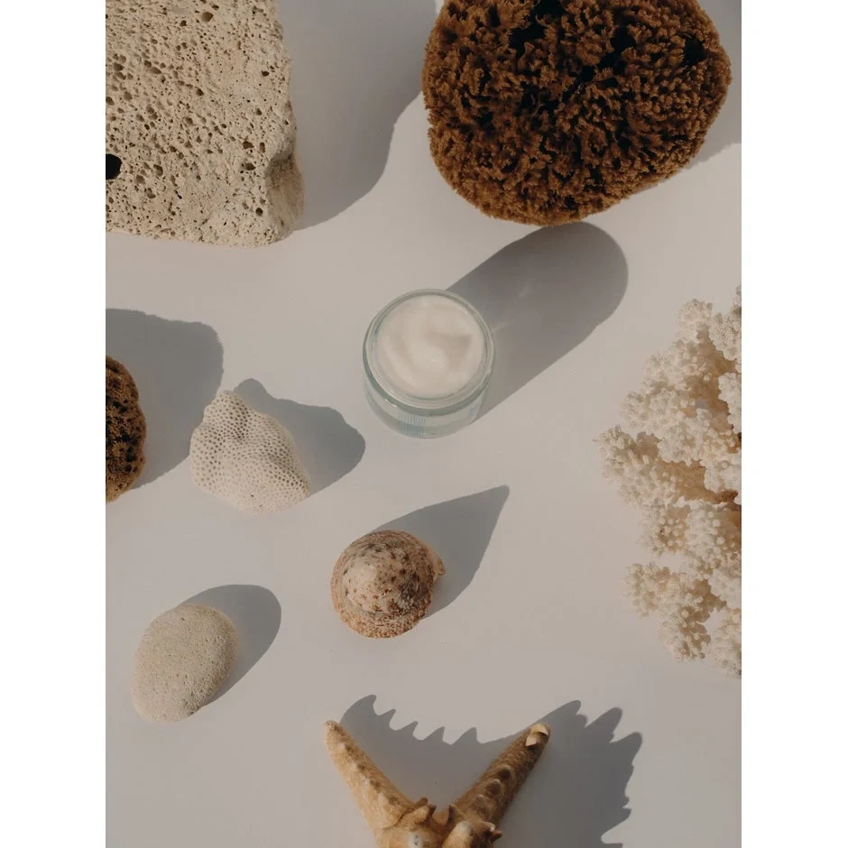 COMPAGNIE DE PROVENCE SAVON Sorbet Cream Velvet Seaweed Day Cream 50 ML