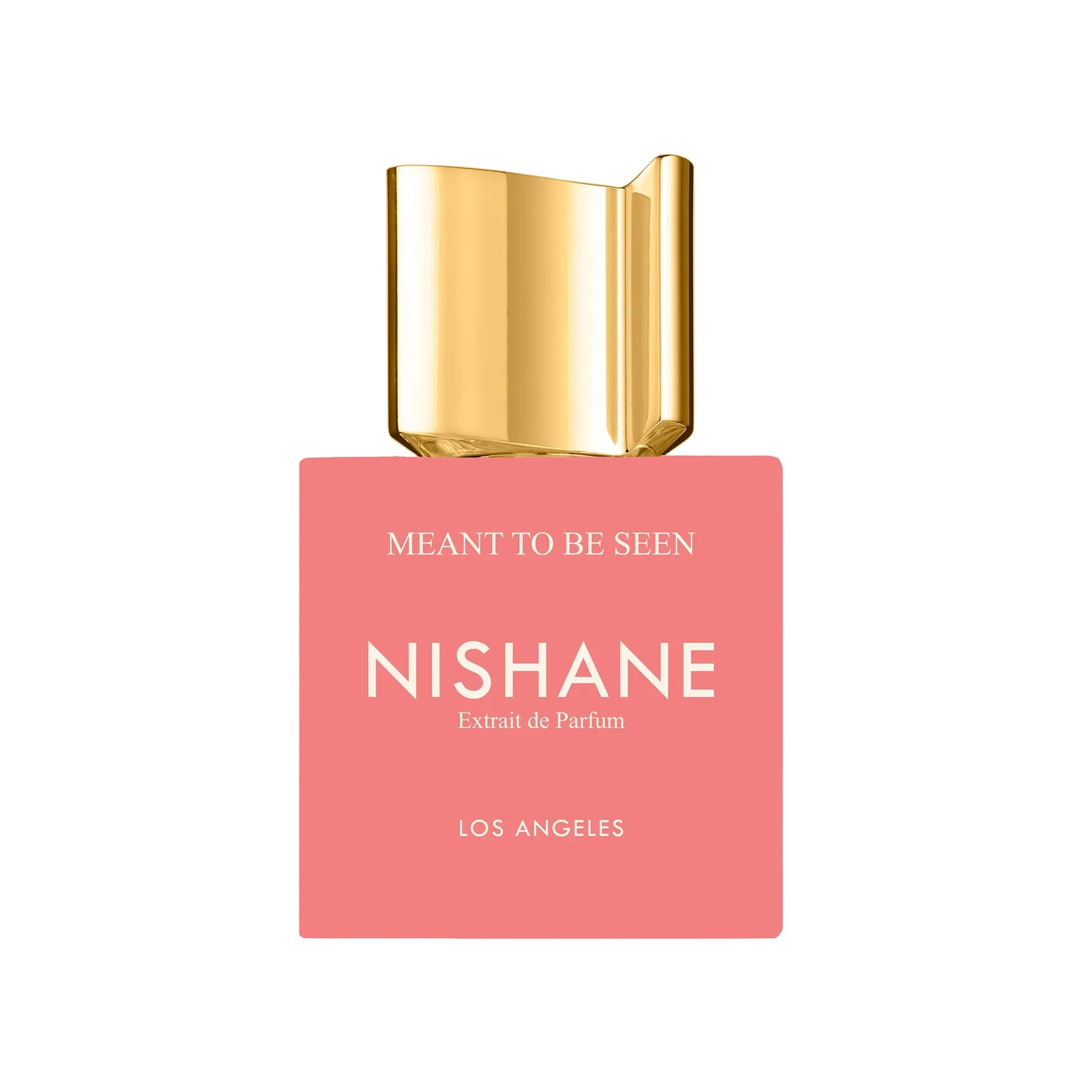 NISHANE Meant To Be Seen 100 ml