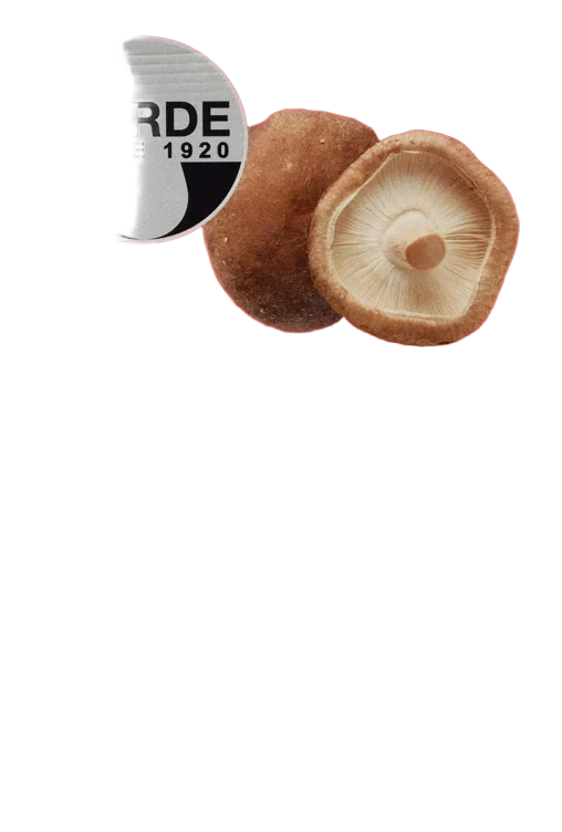 Shiitake tørket              20g