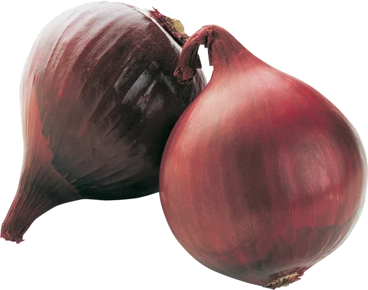 RØDLØK STRØMPE