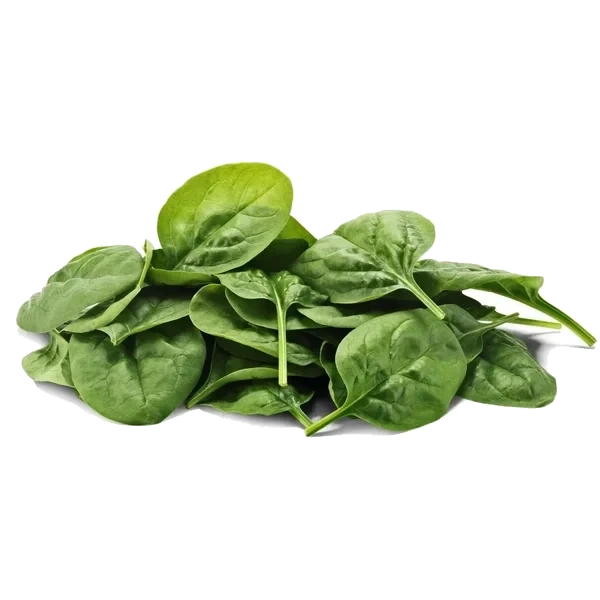 Spinat Flowpack 500g