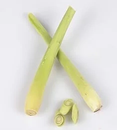 Sitrongress  kg