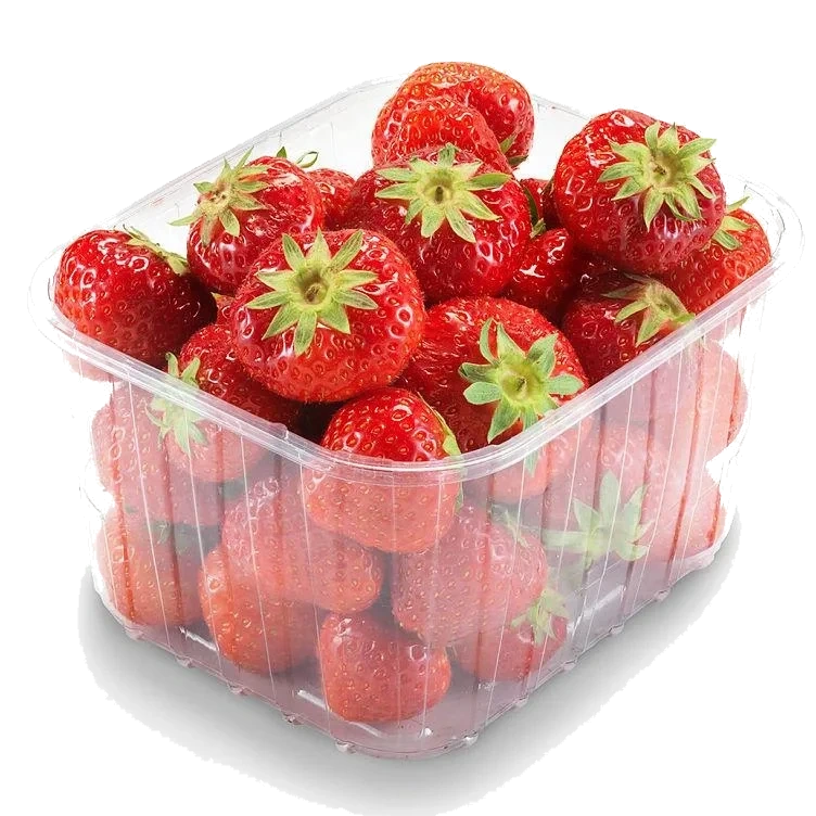 Jordbær Svensk 500g Bama