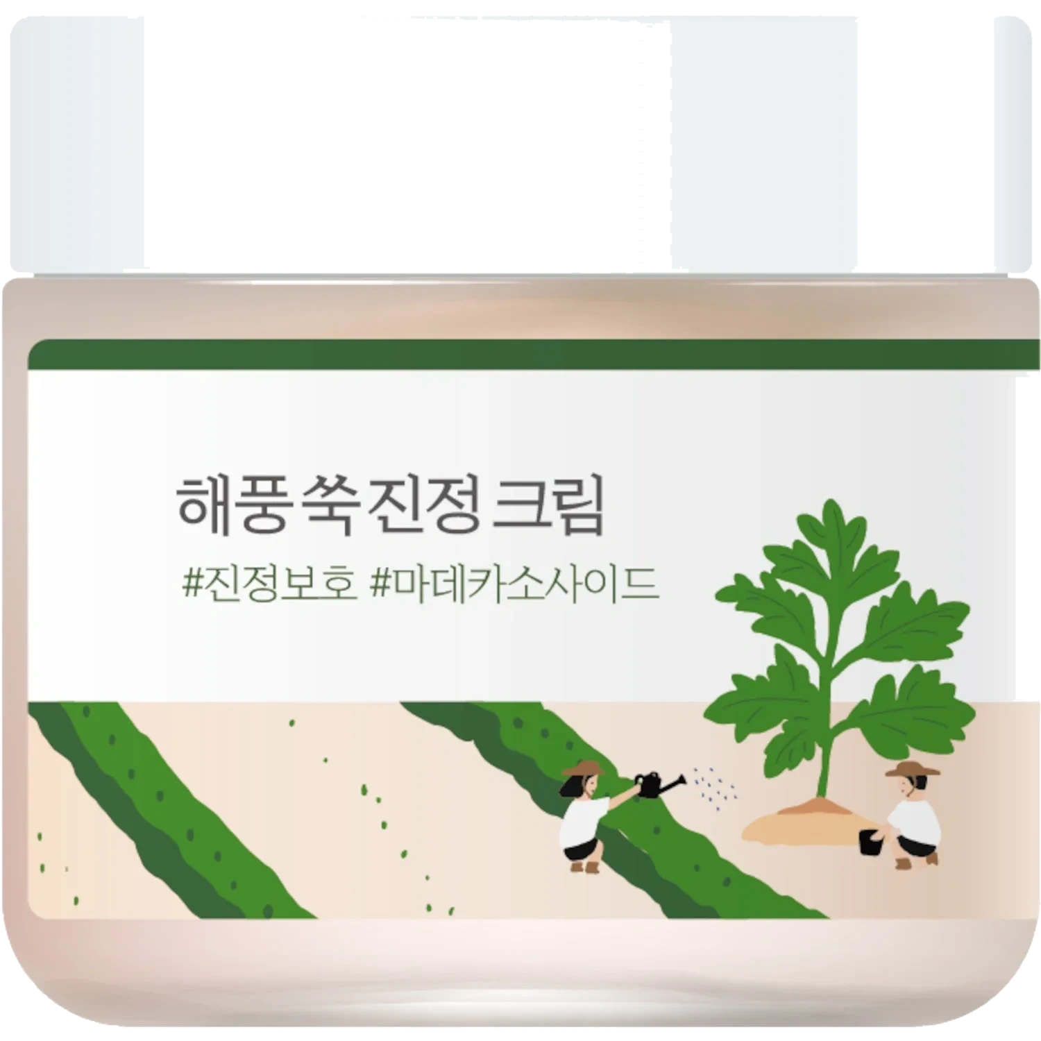 Round Lab Mugwort Calming Cream