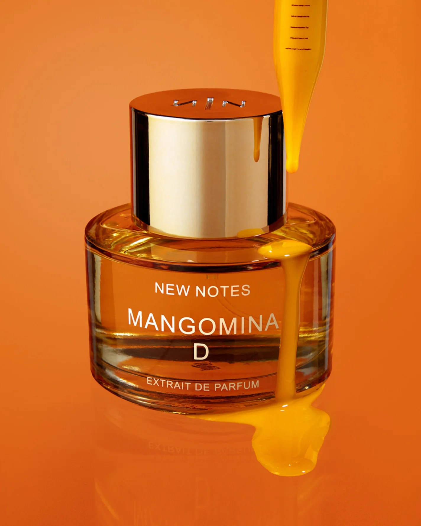 New Notes Mangomina Eau de Parfum 60 ml