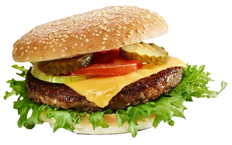 Hamburger   80x60g