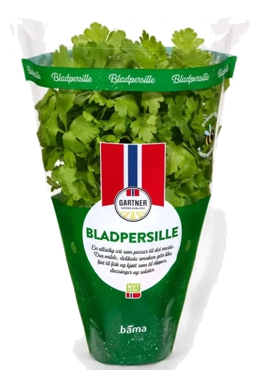 Bladpersille Potte Stor Bama