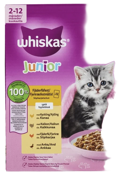 Whiskas Junior Poultry 2-12mts 12x85g