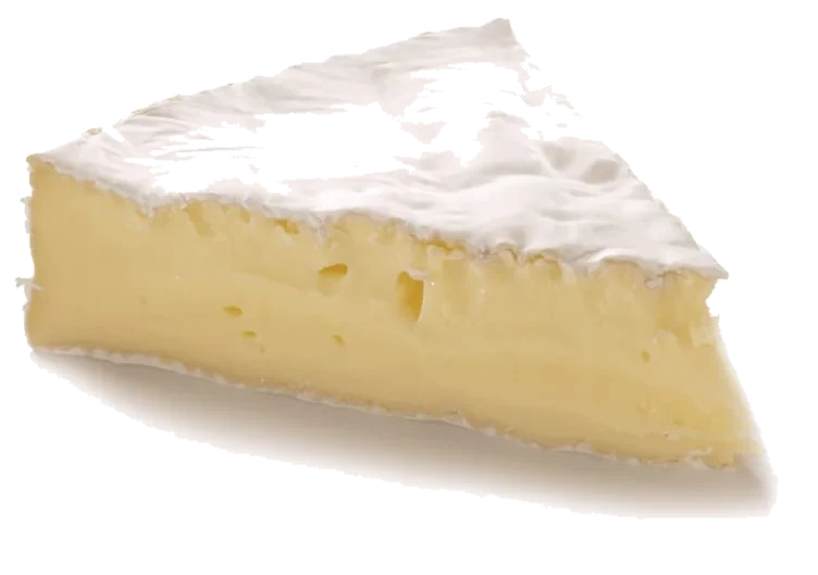 Brie Økologisk Dovre pr Kg