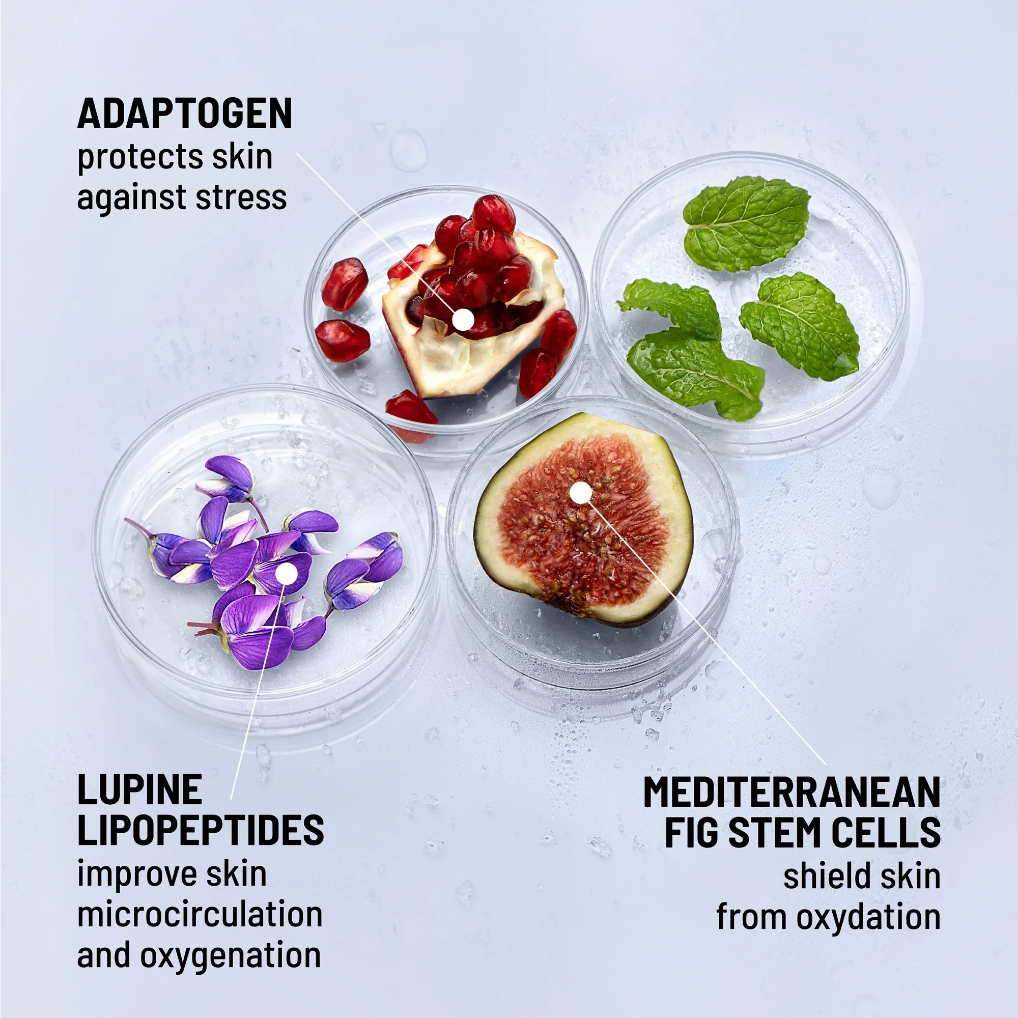 Dr Brandt iD-STRESS Icy Energizing