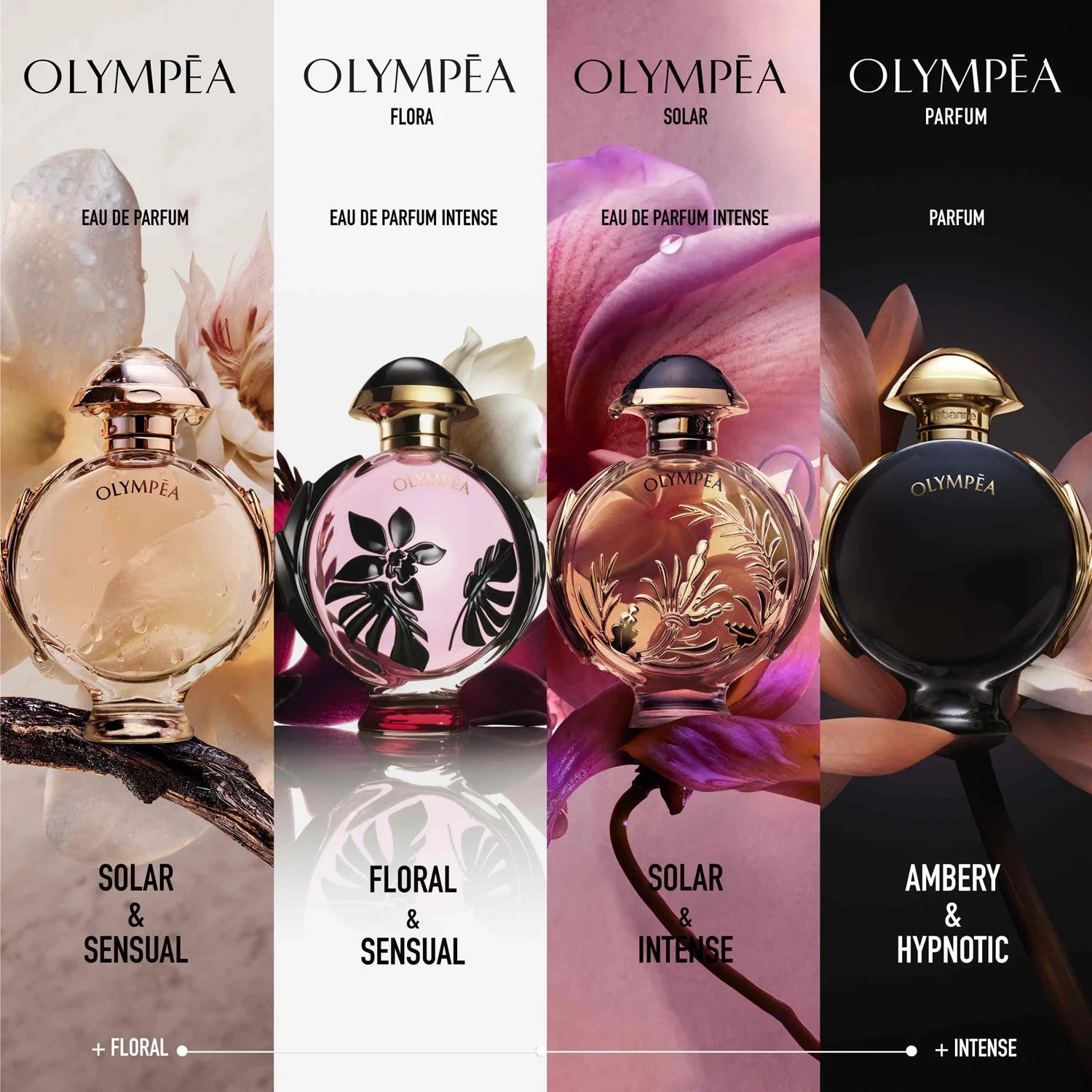 RABANNE Olympea Solar