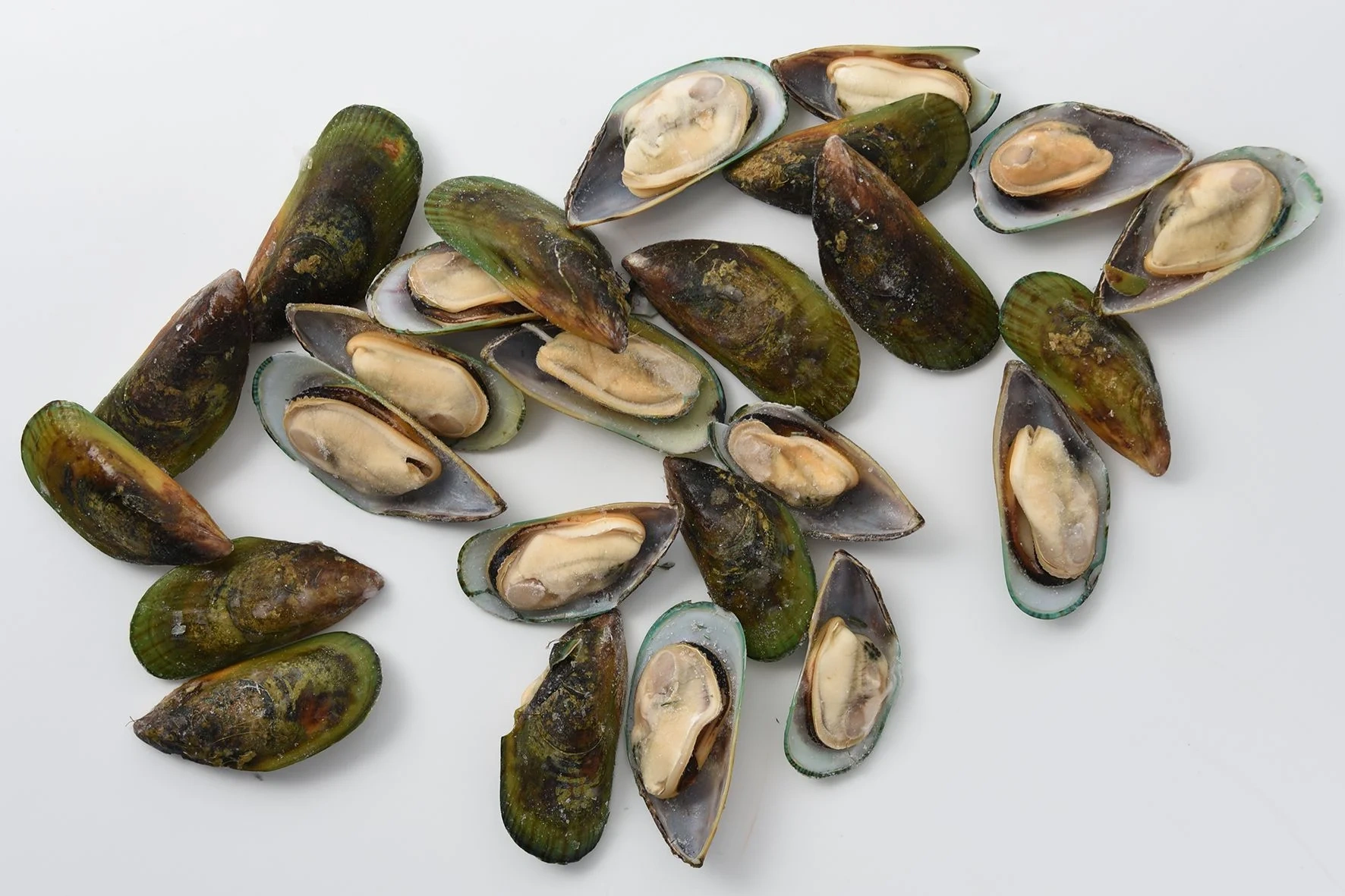 GRÖNMUSSLA (Perna canaliculus)