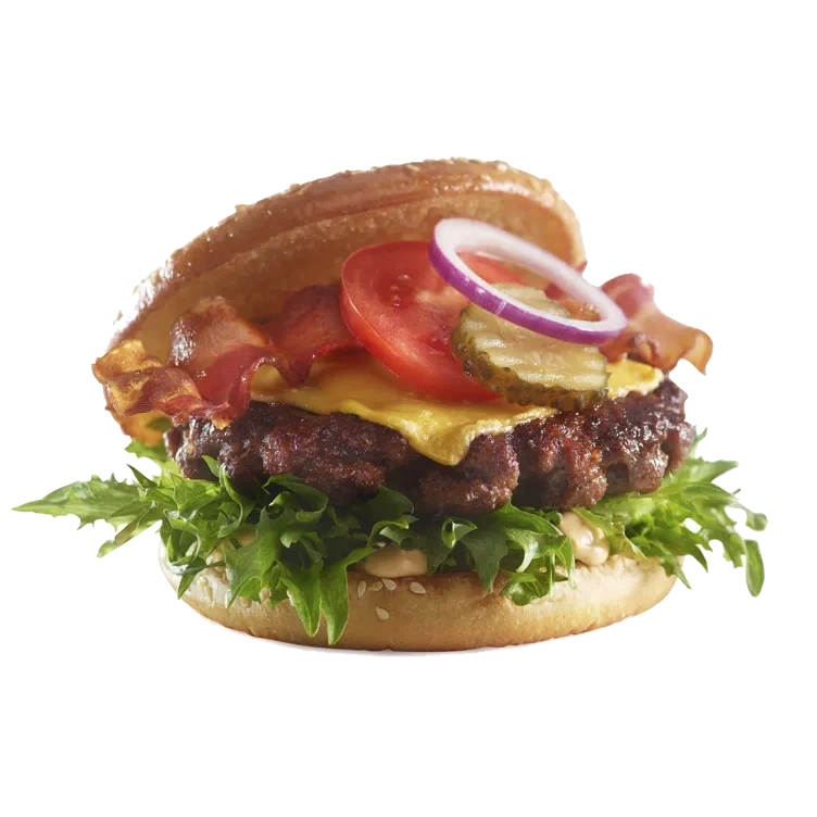 Hamburger homestyle 30x170g    5,1kg