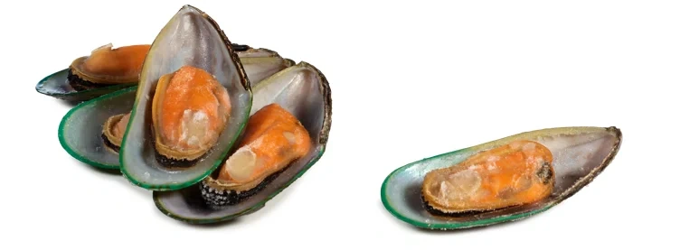 FIRST SEAFOOD AS Grønnskjell Iqf, Halvskjell, 30-45 Pr kg