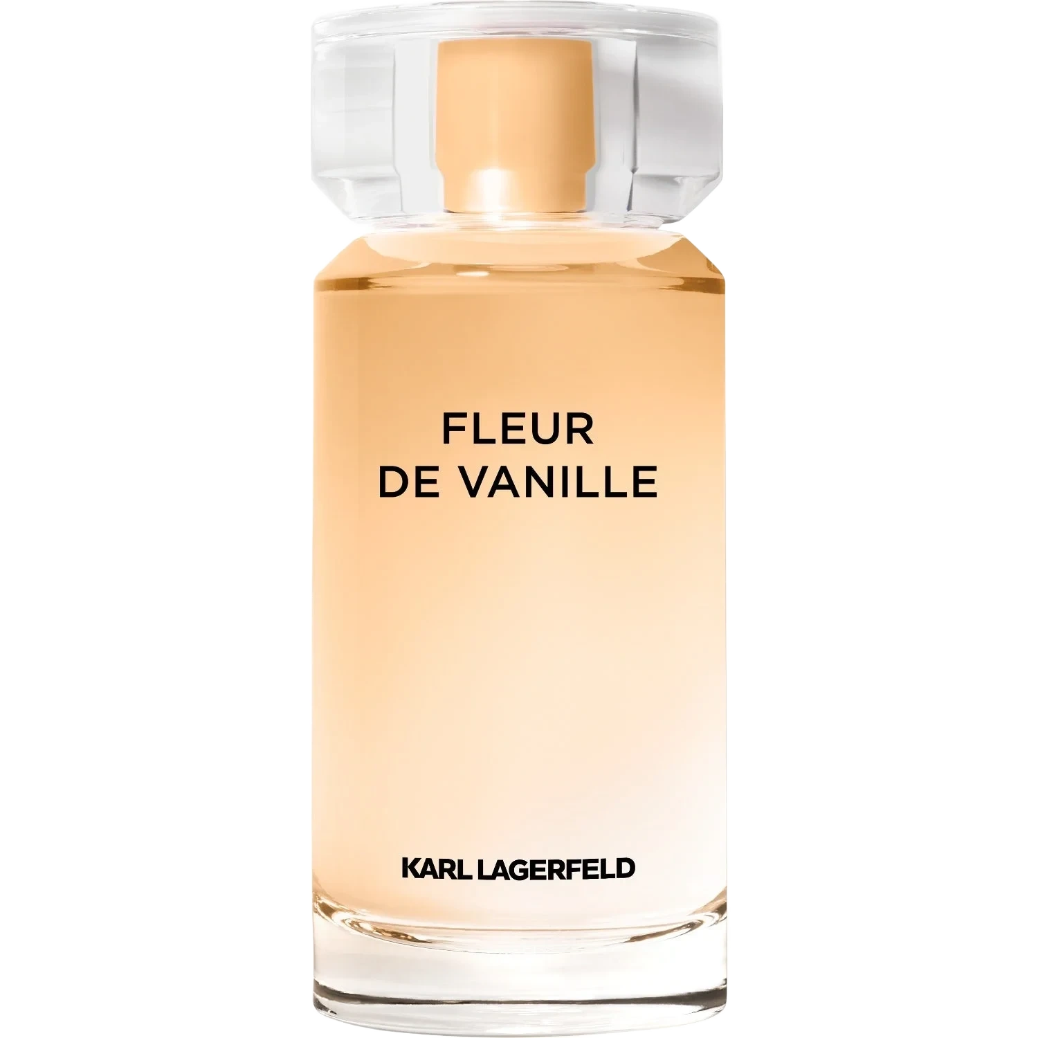 Karl Lagerfeld Les Parfums Matières Fleur de Vanille Eau de Parfum 100 ml