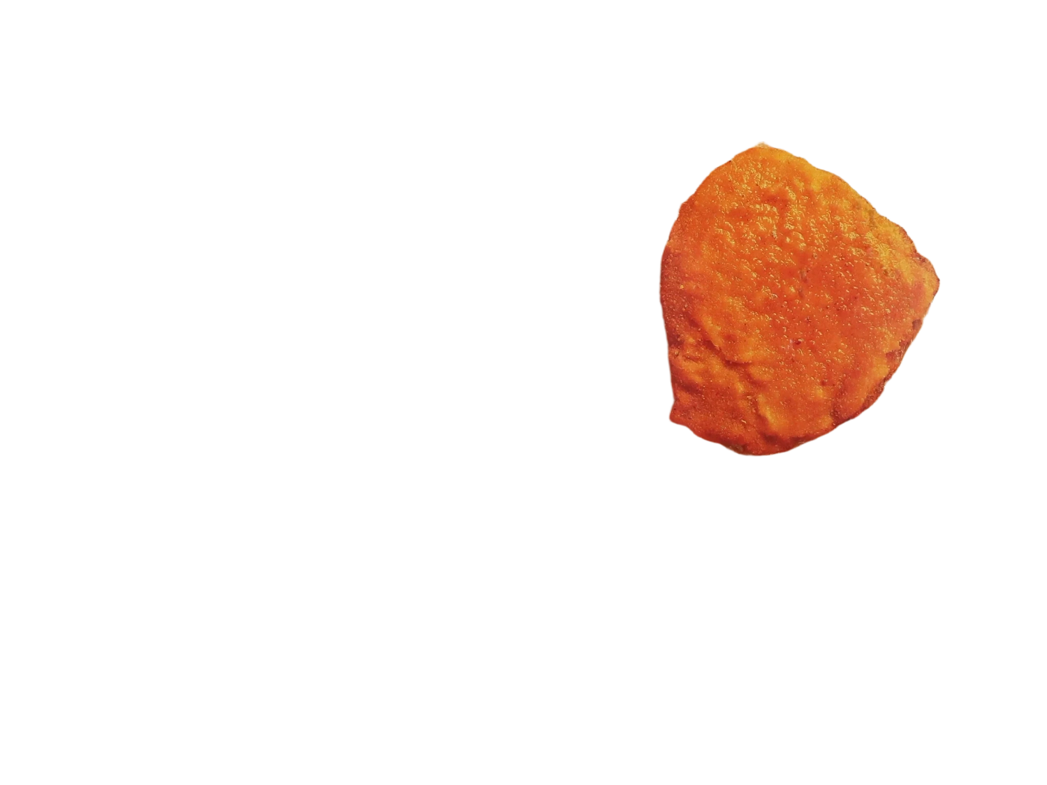 Big Schnitzels