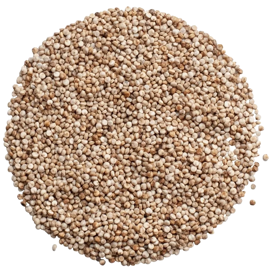 Quinoa Vikinga, helt frö KRAV