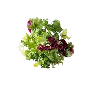 Friséemix 31111 500g