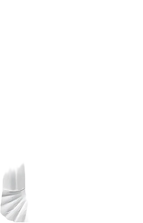 Duni Tallrik papper