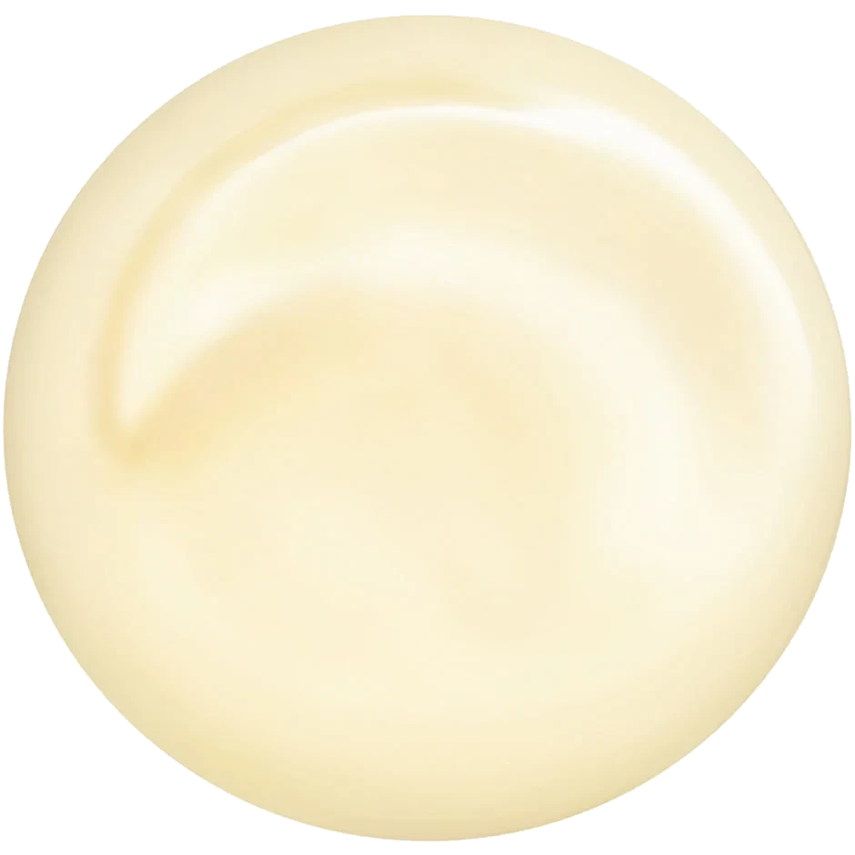 Shiseido Total Revitalizer Eye