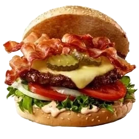 Hamburger Halal 100g 7kg