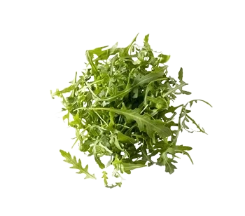 Ruccola Tvättad 35150 500g