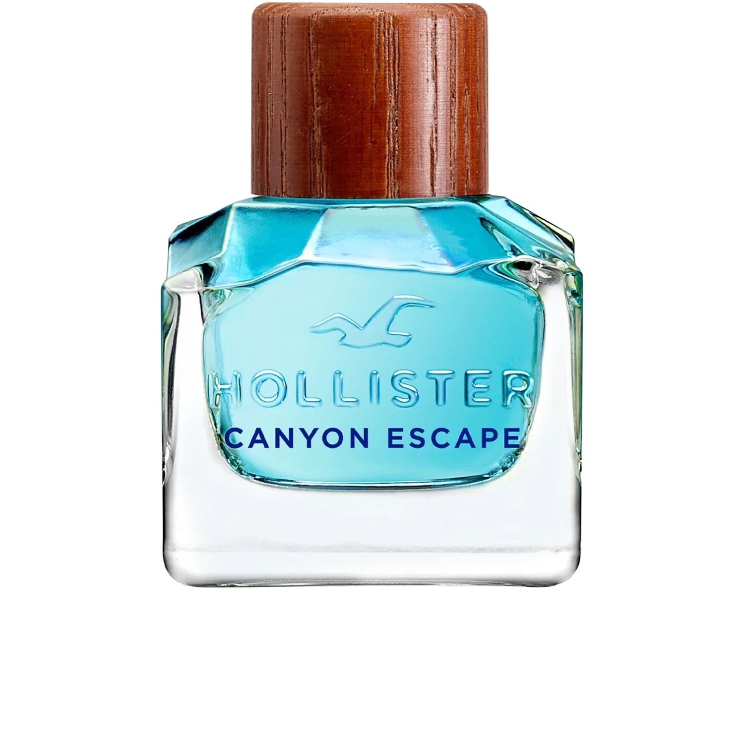 Hollister Canyon Escape For Him