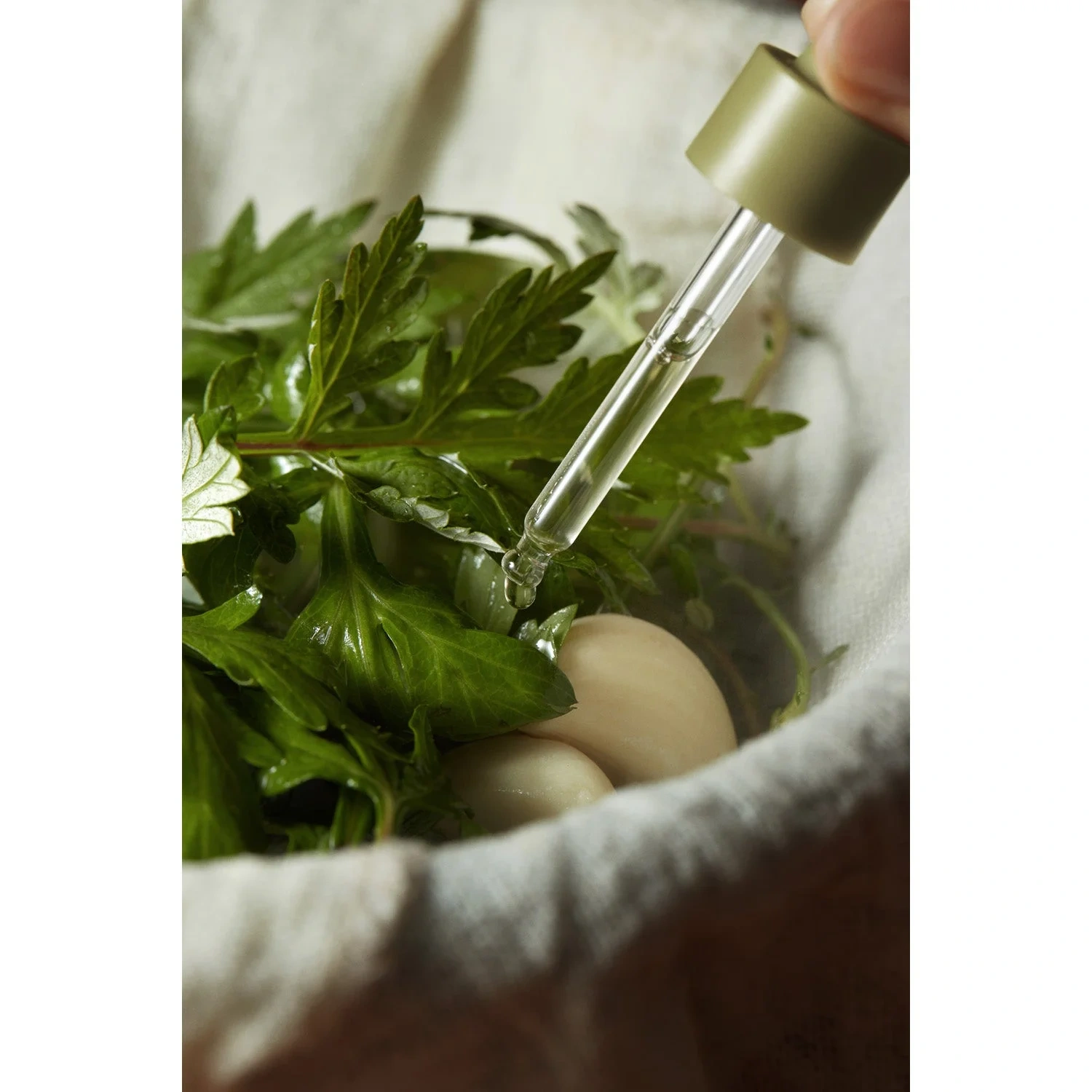 I'm From Mugwort Serum, 30 ml