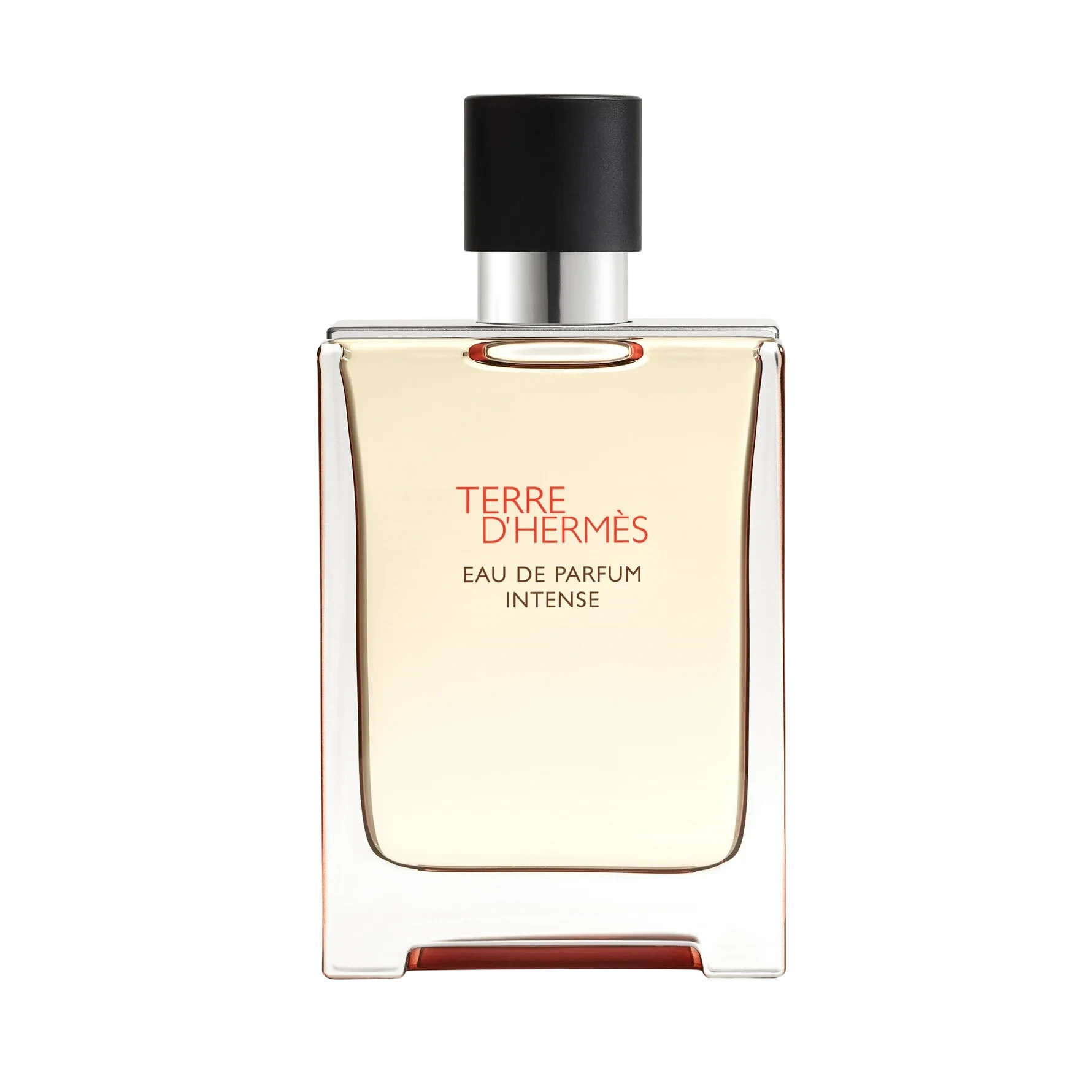 Terre d'Hermès Eau de Parfum Intense 100 ml