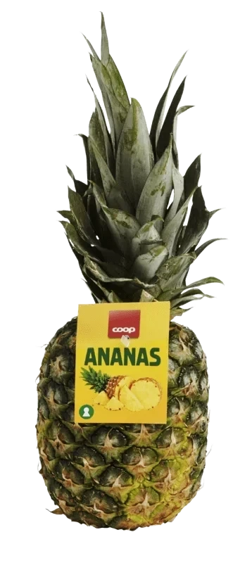 Ananas