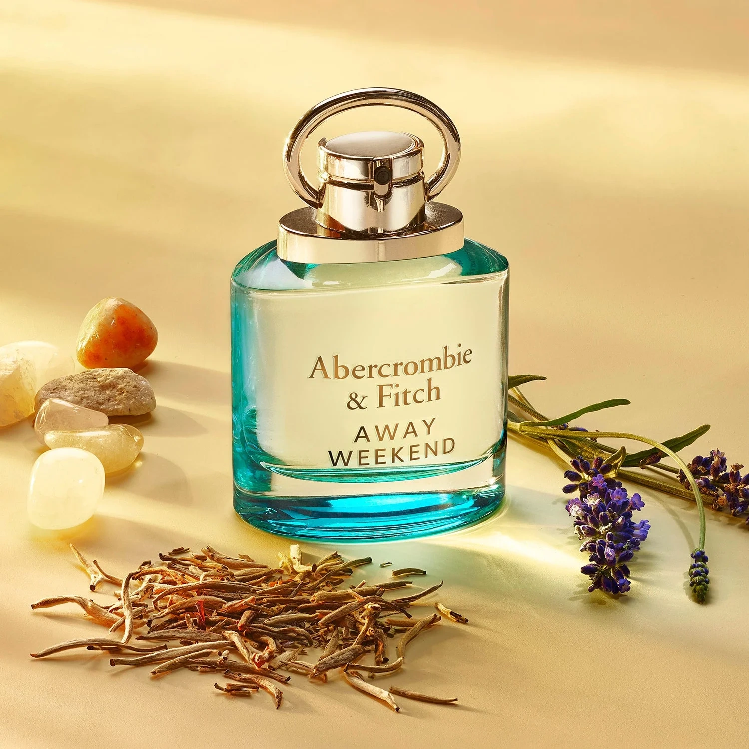 Abercrombie & Fitch Away Weekend Woman