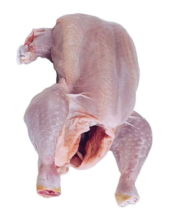 Kylling hel halal 1300g  13kg