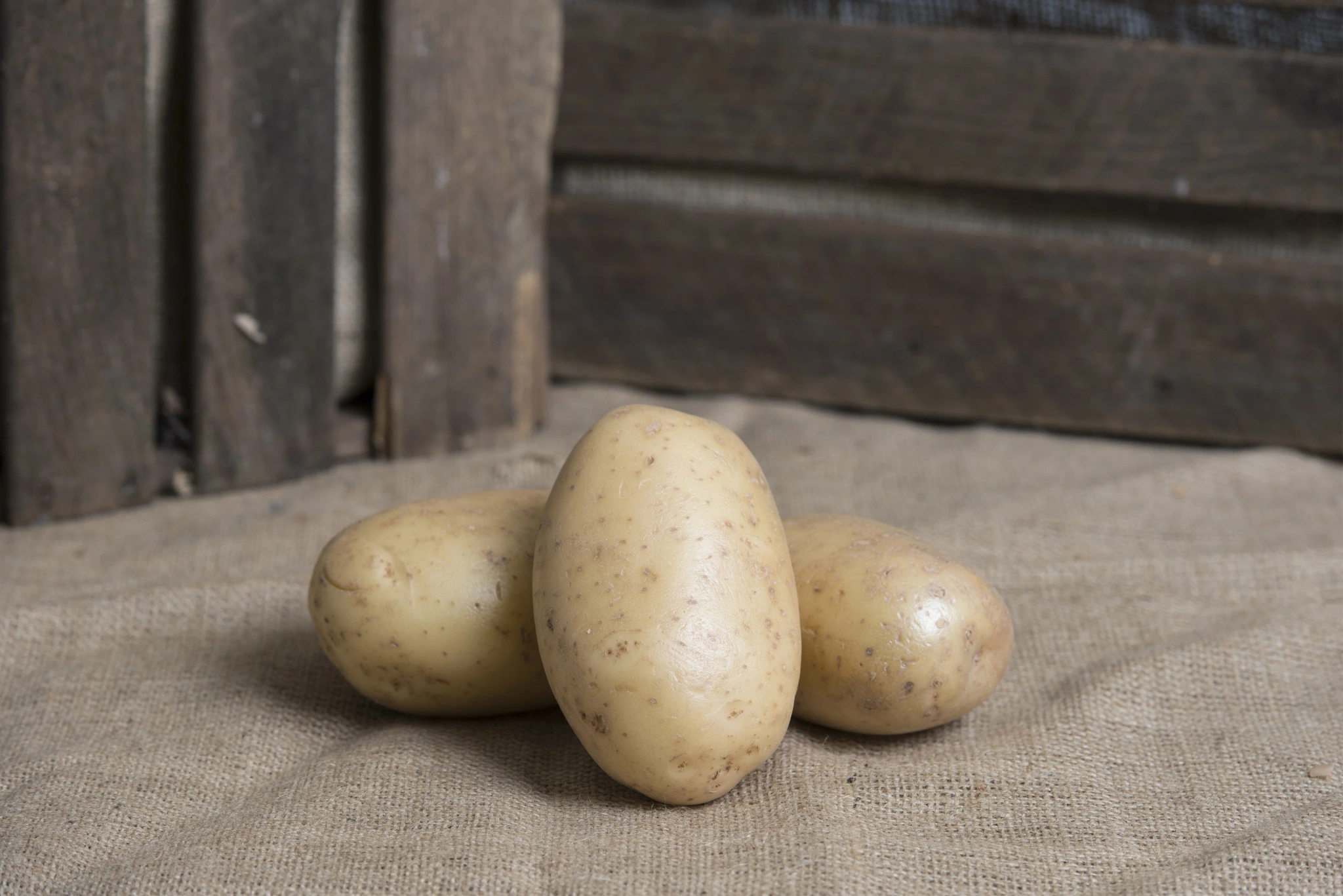 Potatis Gul Fast Tvättad 45-50mm