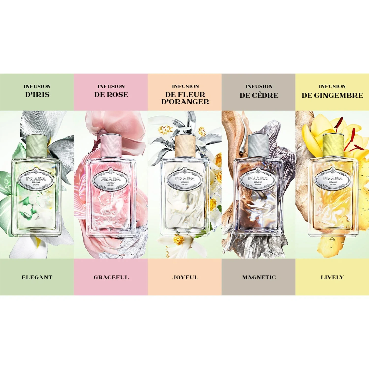 Prada Infusion De Gingembre Eau de Parfum 100 ml