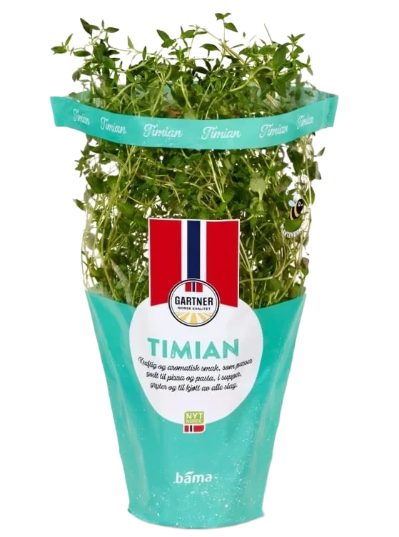Timian 9cm Potte Gartner