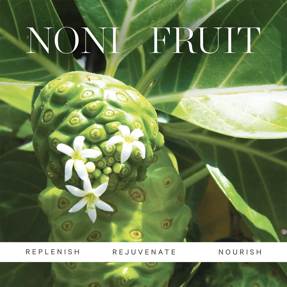 Kora Organics Noni Glow Body Oil