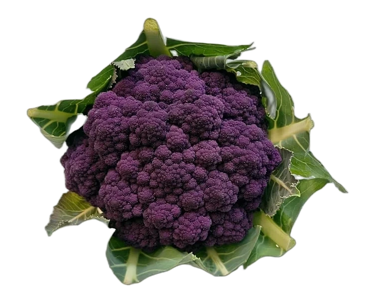 Blomkål rød/lilla   stk